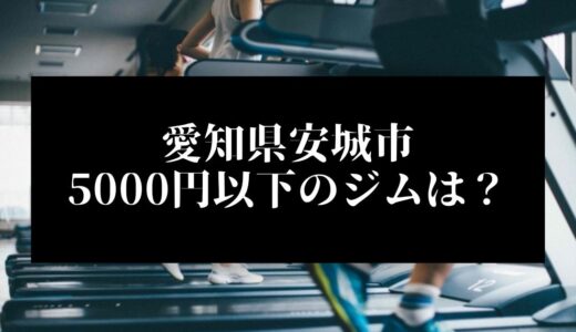 愛知県安城市で5000円以下のコンビニジムはどこ？