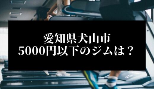 愛知県犬山市で5000円以下のコンビニジムはどこ？