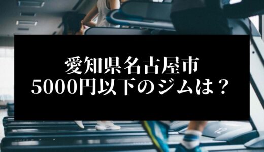 愛知県名古屋市で5000円以下のコンビニジムはどこ？