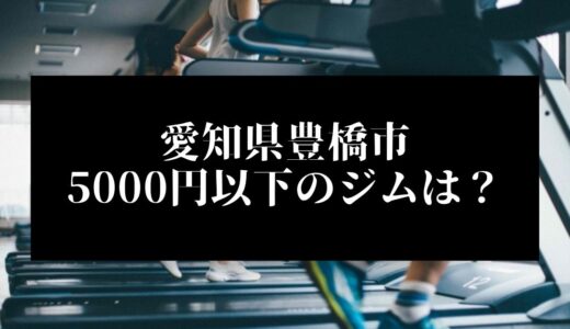 愛知県豊橋市で5000円以下のコンビニジムはどこ？