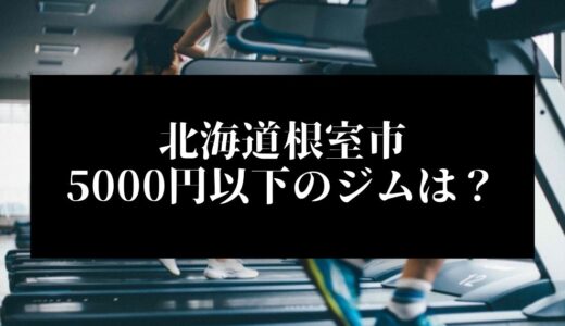 北海道根室市で5000円以下のコンビニジムはどこ？